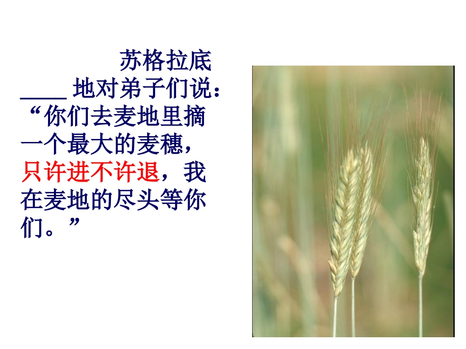 《最大的麦穗》PPT课件_第3页