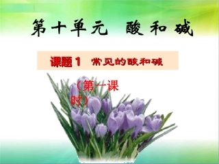 课题1常见的酸和碱第一课时