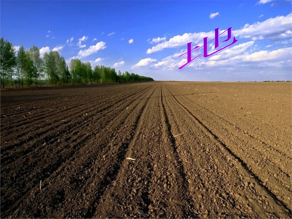 (部编)人教2011课标版一年级上册天地人.天地人-(2)_第3页