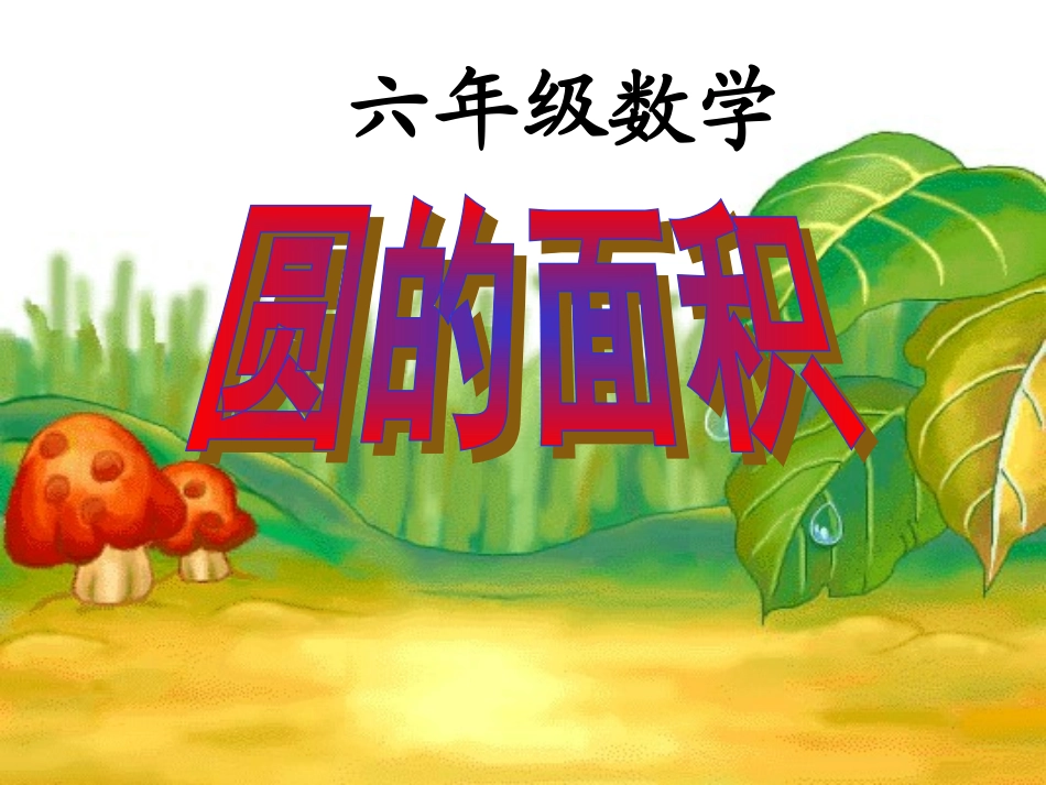 圆的面积-932817_第1页