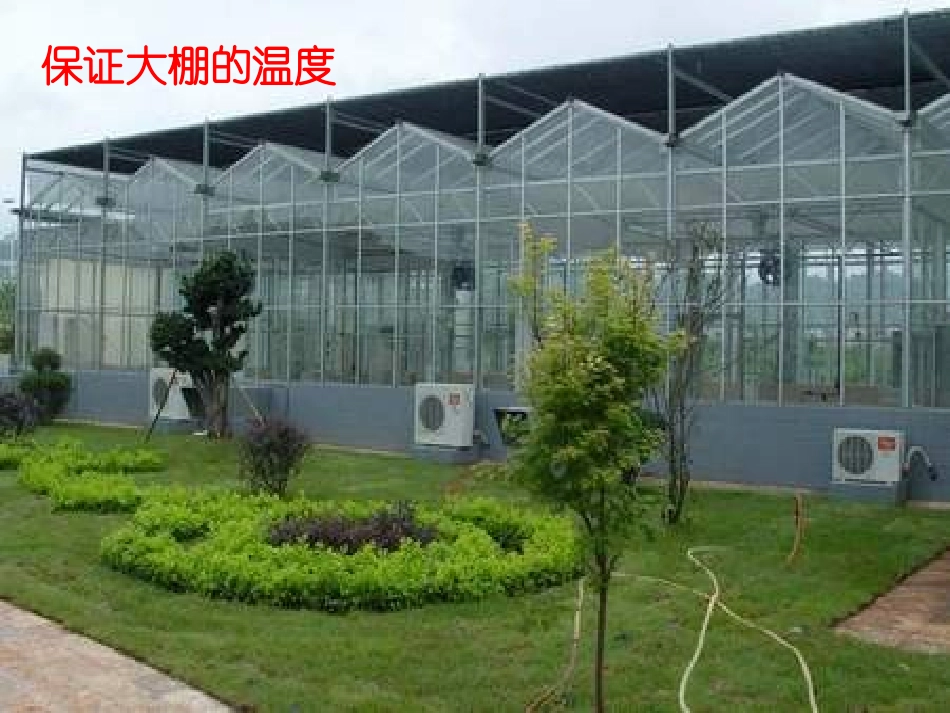 《农业的变化真大》大棚_第3页