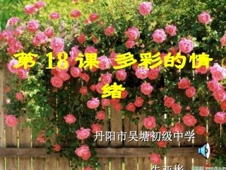 走进情感天地