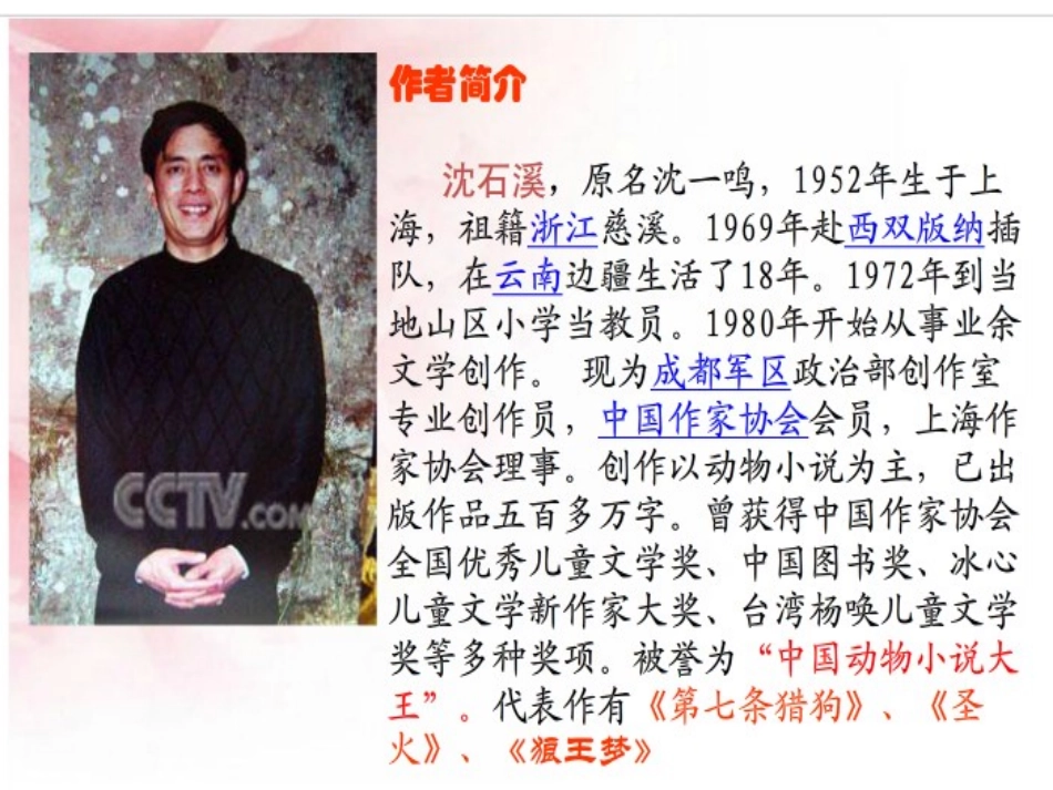 《最后一头战象》课件_第2页