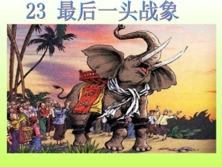 《最后一头战象》课件
