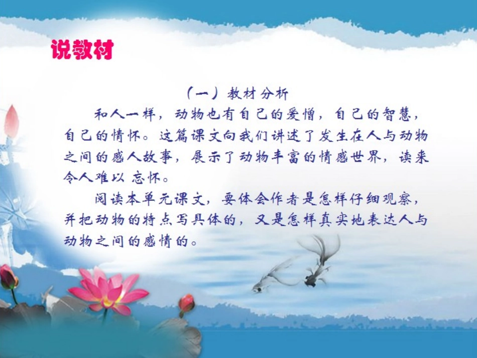 《老人与海鸥》说课易清亮_第3页
