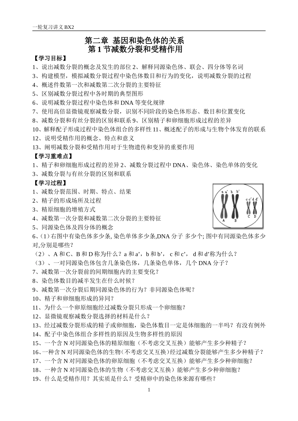 减数分裂与受精作用_第1页