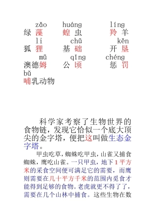 生态金字塔案例