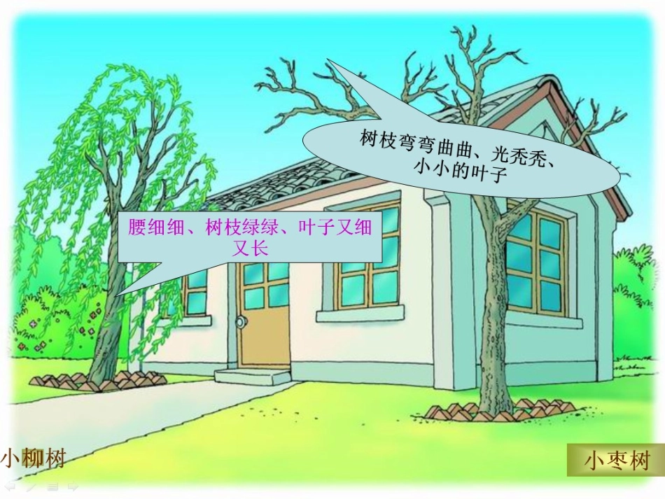 《小柳树和小枣树》第二段讲解_第2页