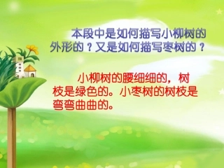 《小柳树和小枣树》第二段讲解