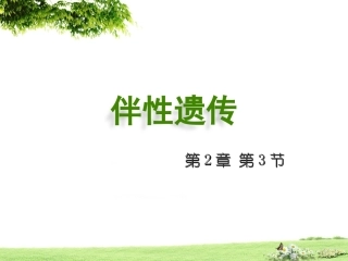 2.3《伴性遗传》课件1