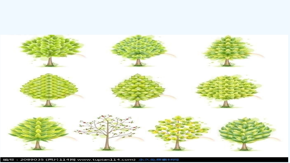 小学数学北师大2011课标版三年级小树多少颗_第1页