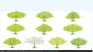 小学数学北师大2011课标版三年级小树多少颗