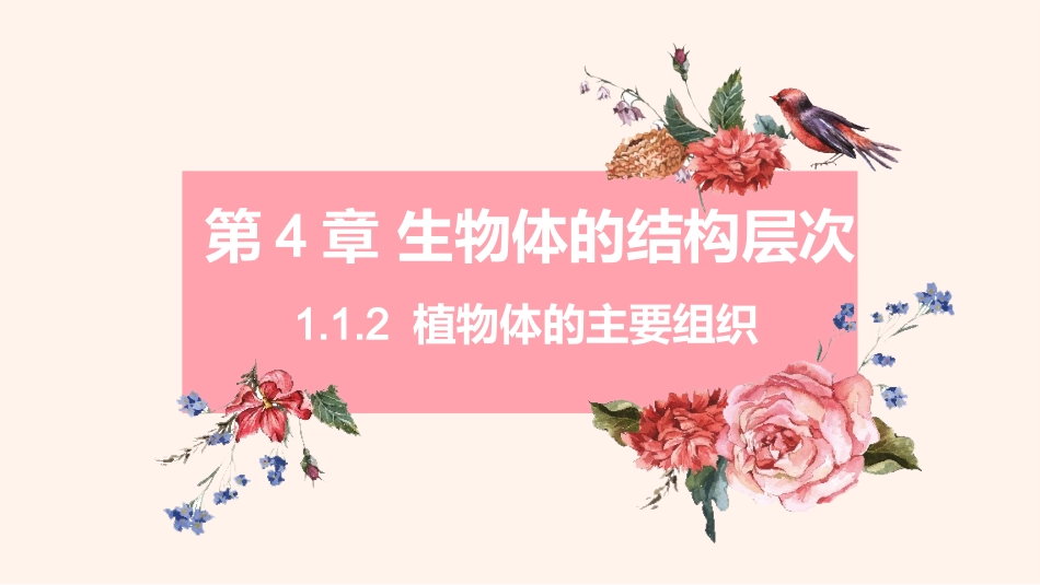 第1节细胞分化形成组织_第1页