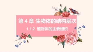 第1节细胞分化形成组织
