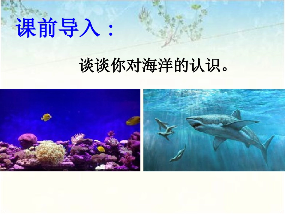 《海水里的宝藏》课件_第2页