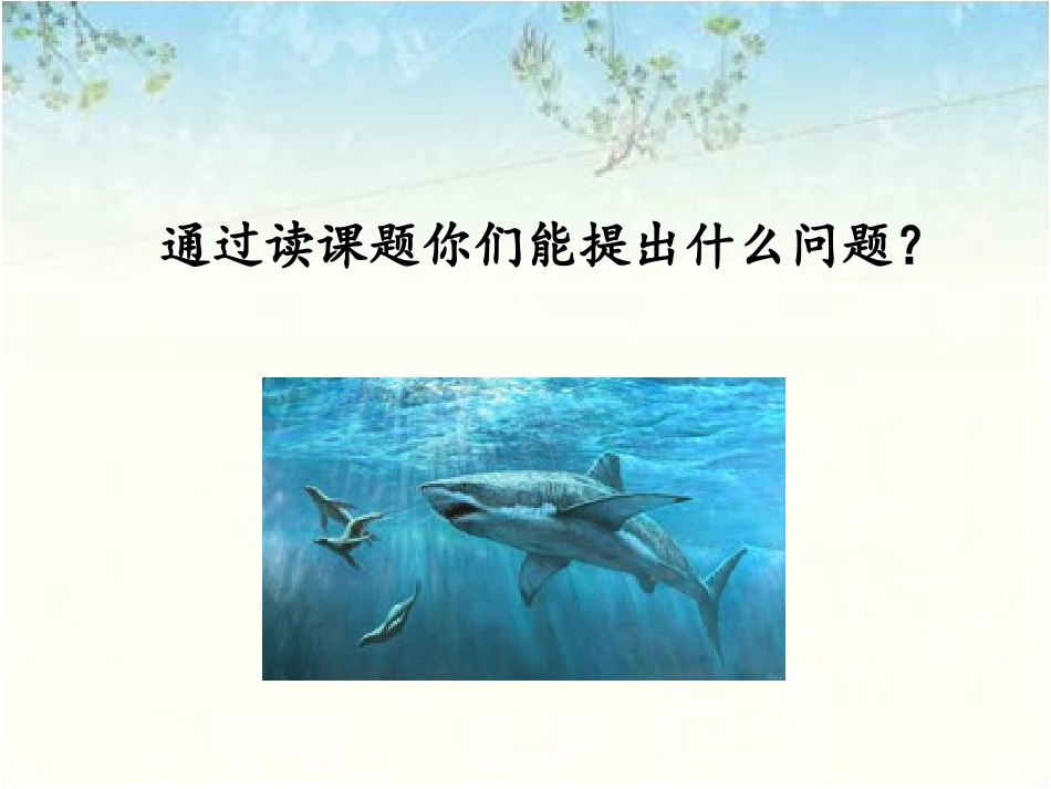 《海水里的宝藏》课件_第3页