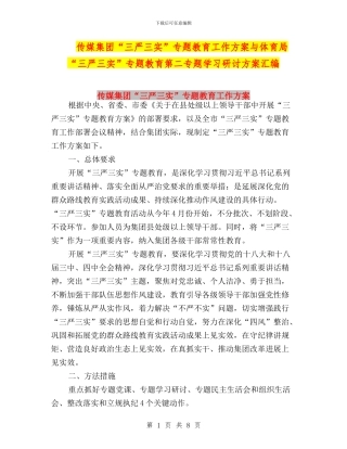 传媒集团“三严三实”专题教育工作方案与体育局“三严三实”专题教育第二专题学习研讨方案汇编