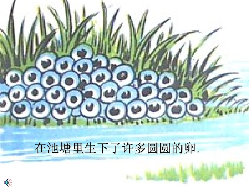 小蝌蚪变青蛙_第2页
