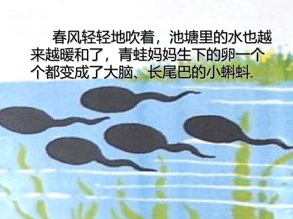 小蝌蚪变青蛙_第3页