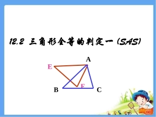 14.2--三角形全等的判定(“SAS”)