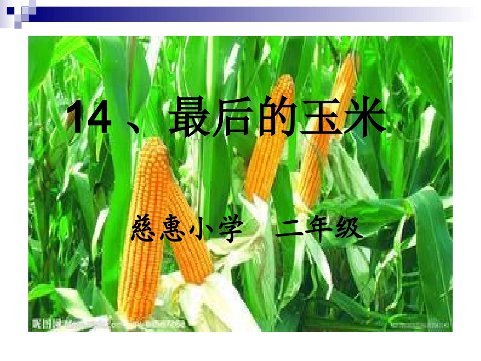 14、最后的玉米_第1页