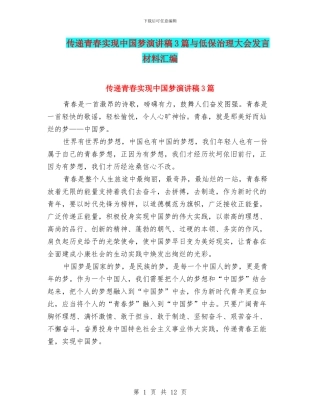 传递青春实现中国梦演讲稿3篇与低保治理大会发言材料汇编