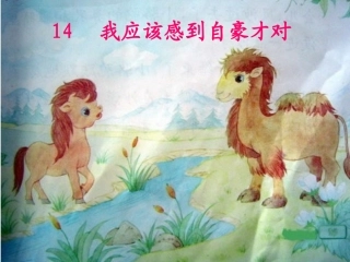 14我应该感到自豪才对卢忠爱