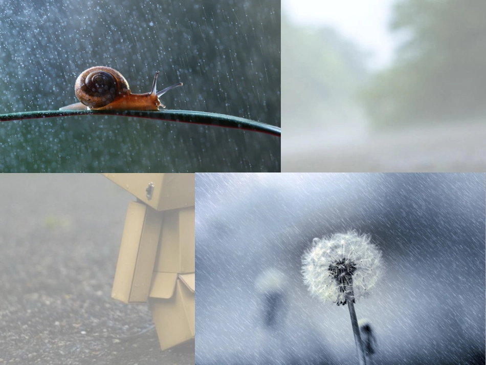 《雨中》课件_第2页