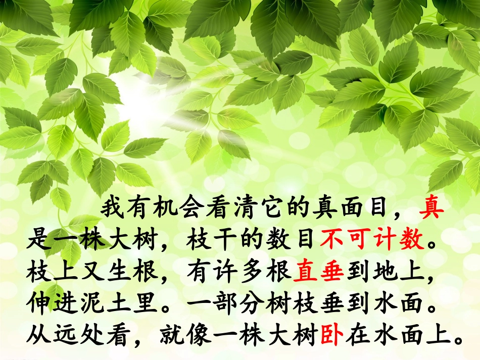 12鸟的天堂_第3页