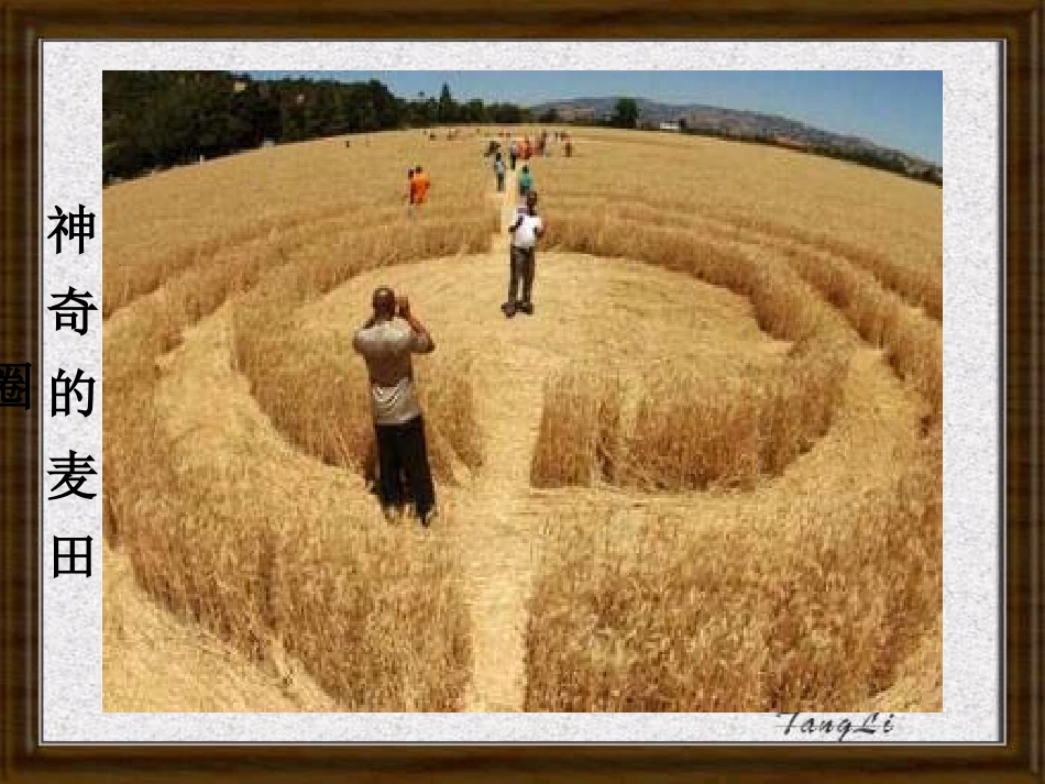 黄金分割优质课_第2页