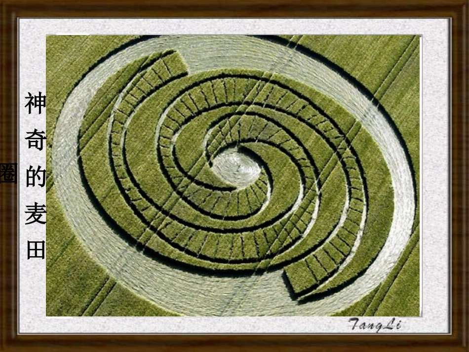 黄金分割优质课_第3页