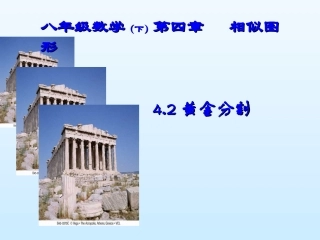 黄金分割优质课