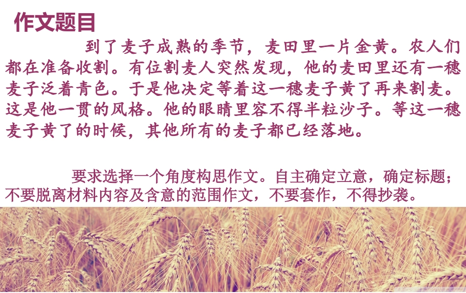 麦穗熟了作文讲评_第2页