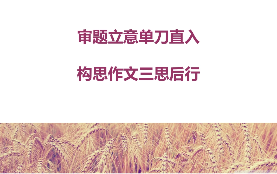 麦穗熟了作文讲评_第3页