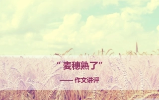 麦穗熟了作文讲评