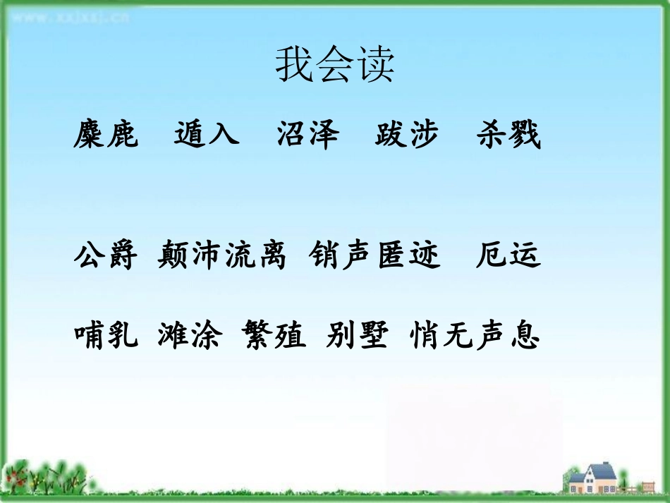 麋鹿教学课件_第2页