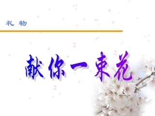 高亚宁---献你一束花