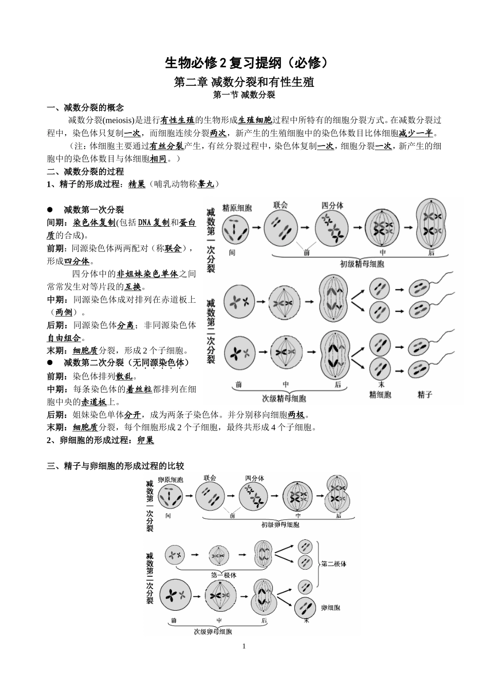 高中生物必修2复习提纲(最全)_第1页
