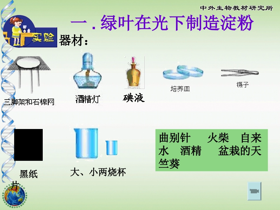 第三节植物光合作用的实质-(4)_第3页