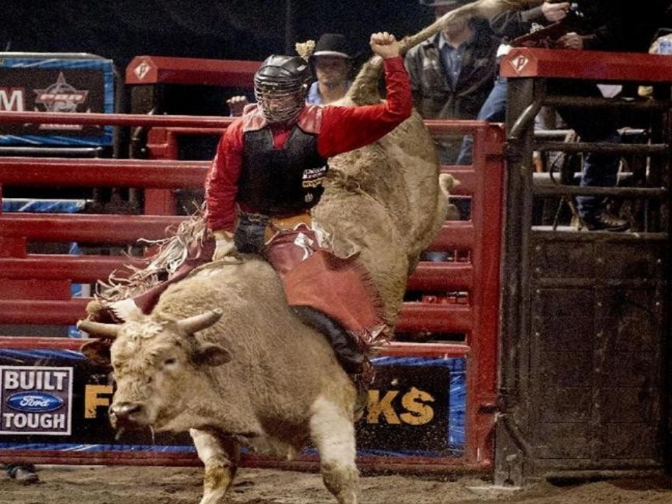 骑牛比赛_苏教版_一年级下册_第2页