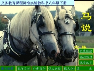 马说课文分析及练习