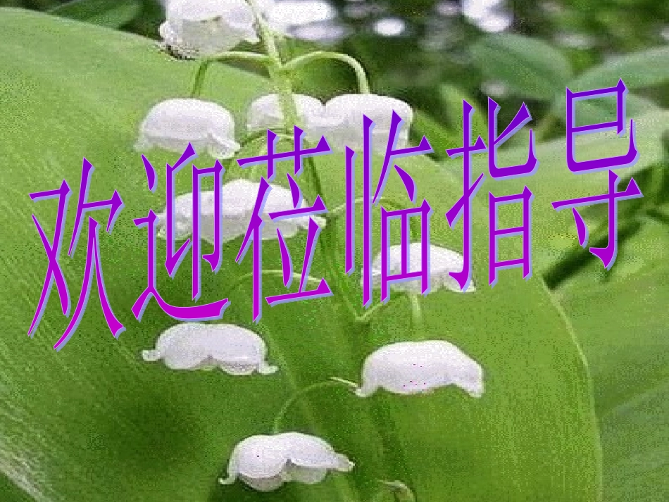 风雨PPT课件_第1页