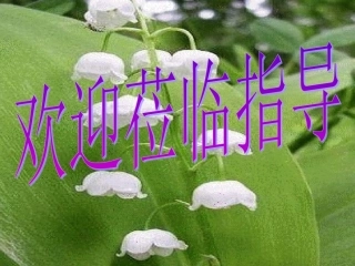 风雨PPT课件