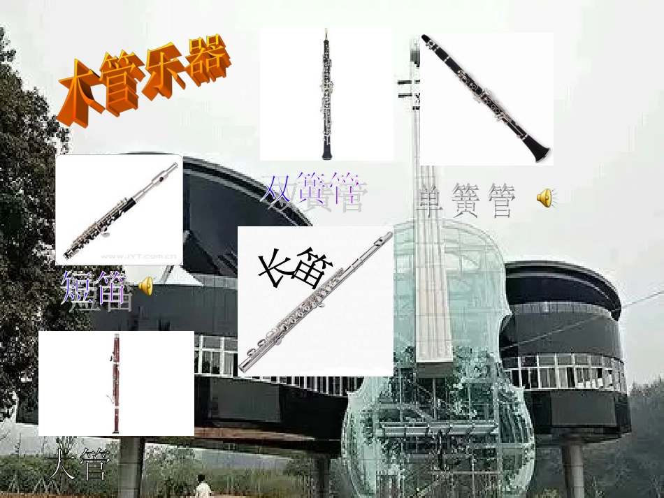 音乐西洋乐器_第2页