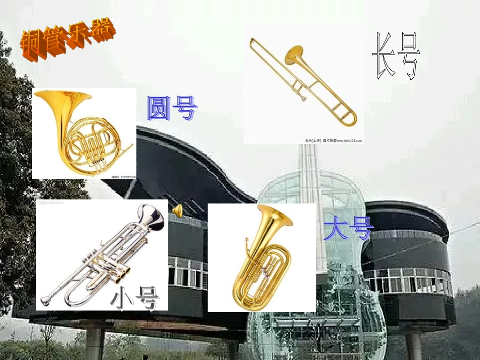 音乐西洋乐器_第3页