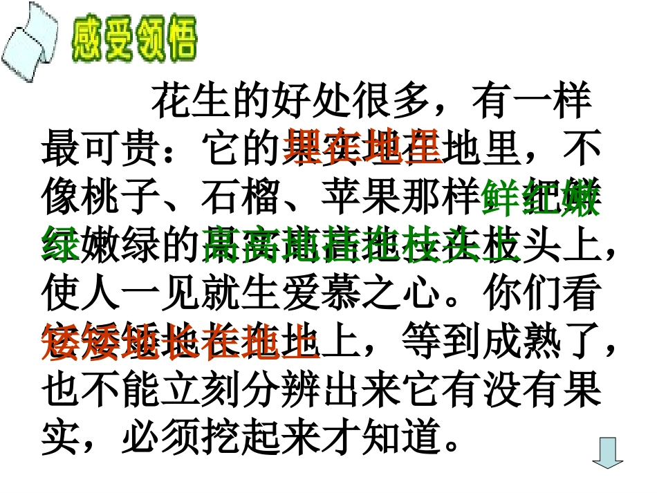 15落花生(马玉静)_第3页