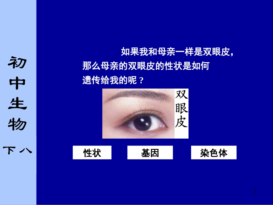 第1节生物的遗传-(2)_第3页