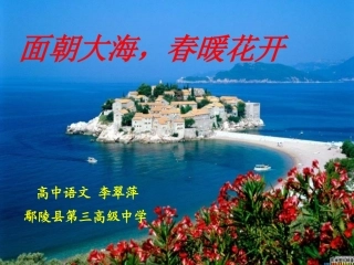 面朝大海春暖花开