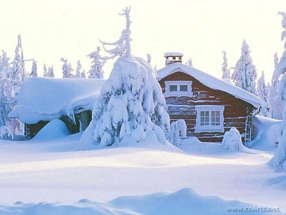 雾凇课件 (2)_第3页