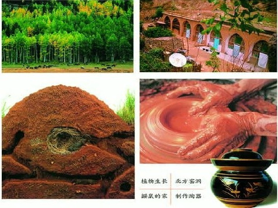 4土壤的保护_第3页